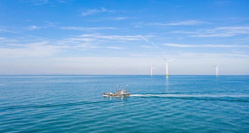 中國海上風電再次領先 40層樓高風力發電機，一臺轉動創造4億元陸路國際貨運業務