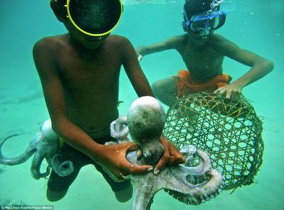 漂泊與連接 巴夭人的海上日常與現(xiàn)代陸路國際貨運(yùn)代理業(yè)務(wù)