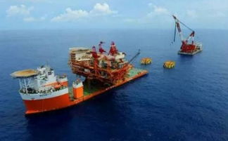 碧海藍(lán)天間的“巨樹”如何生根——揭秘海上風(fēng)電場的建設(shè)全過程